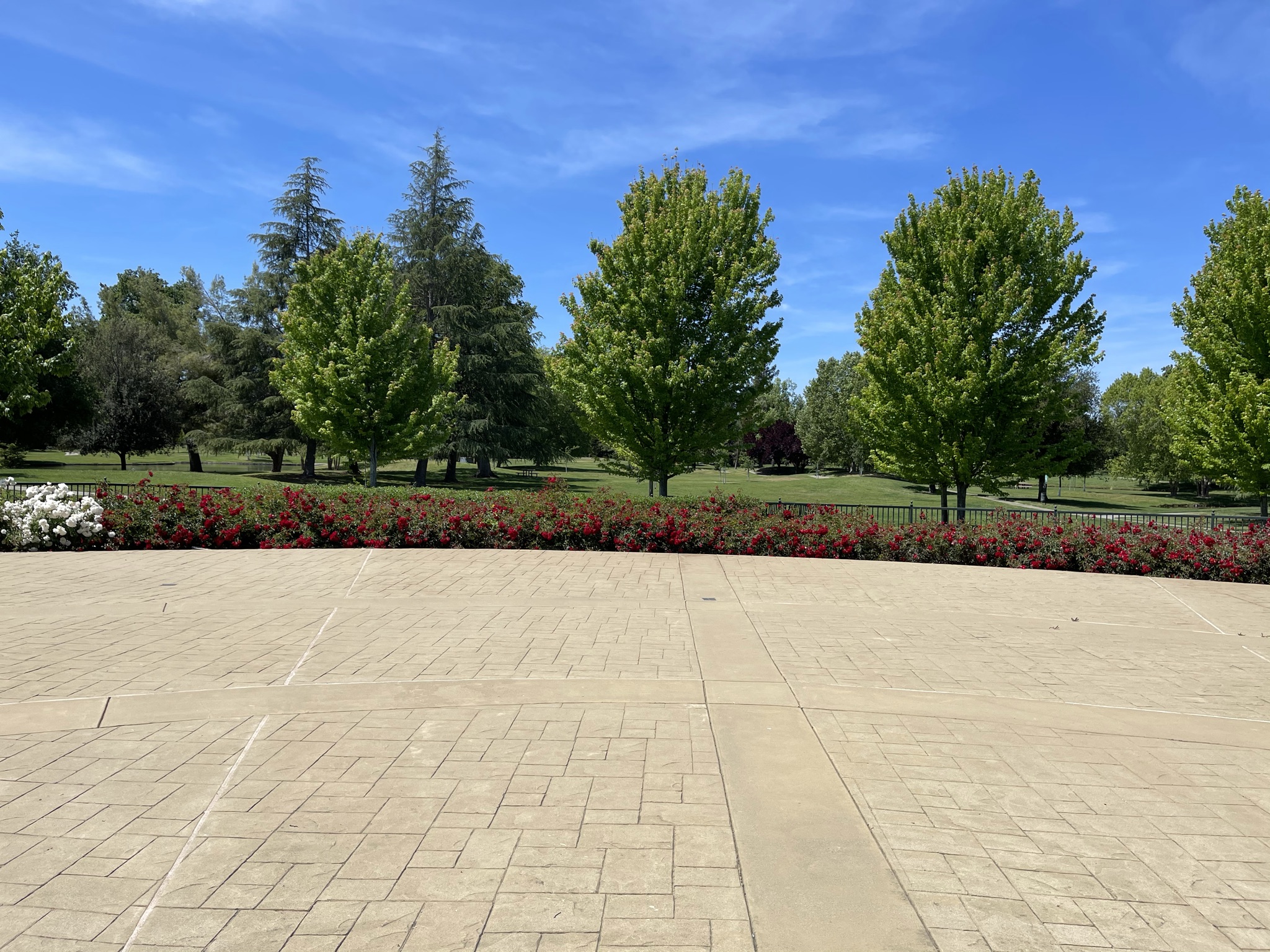 A brick walkway with trees and flowers.