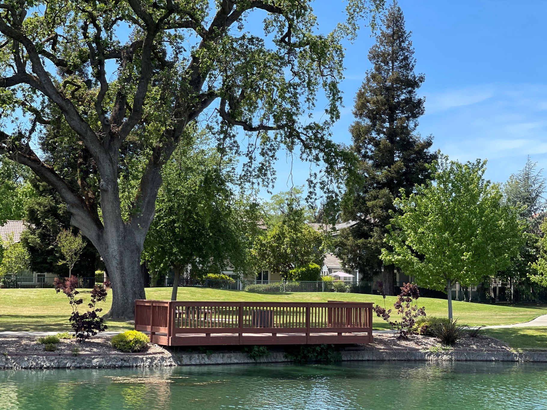 A bridge over a pond.