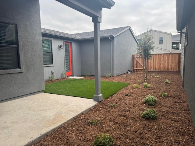 A backyard with a small tree.