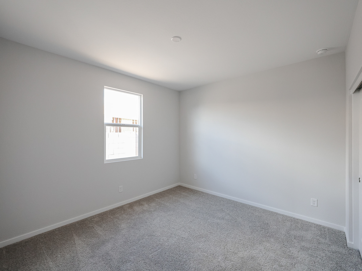 A room with a carpet and windows.