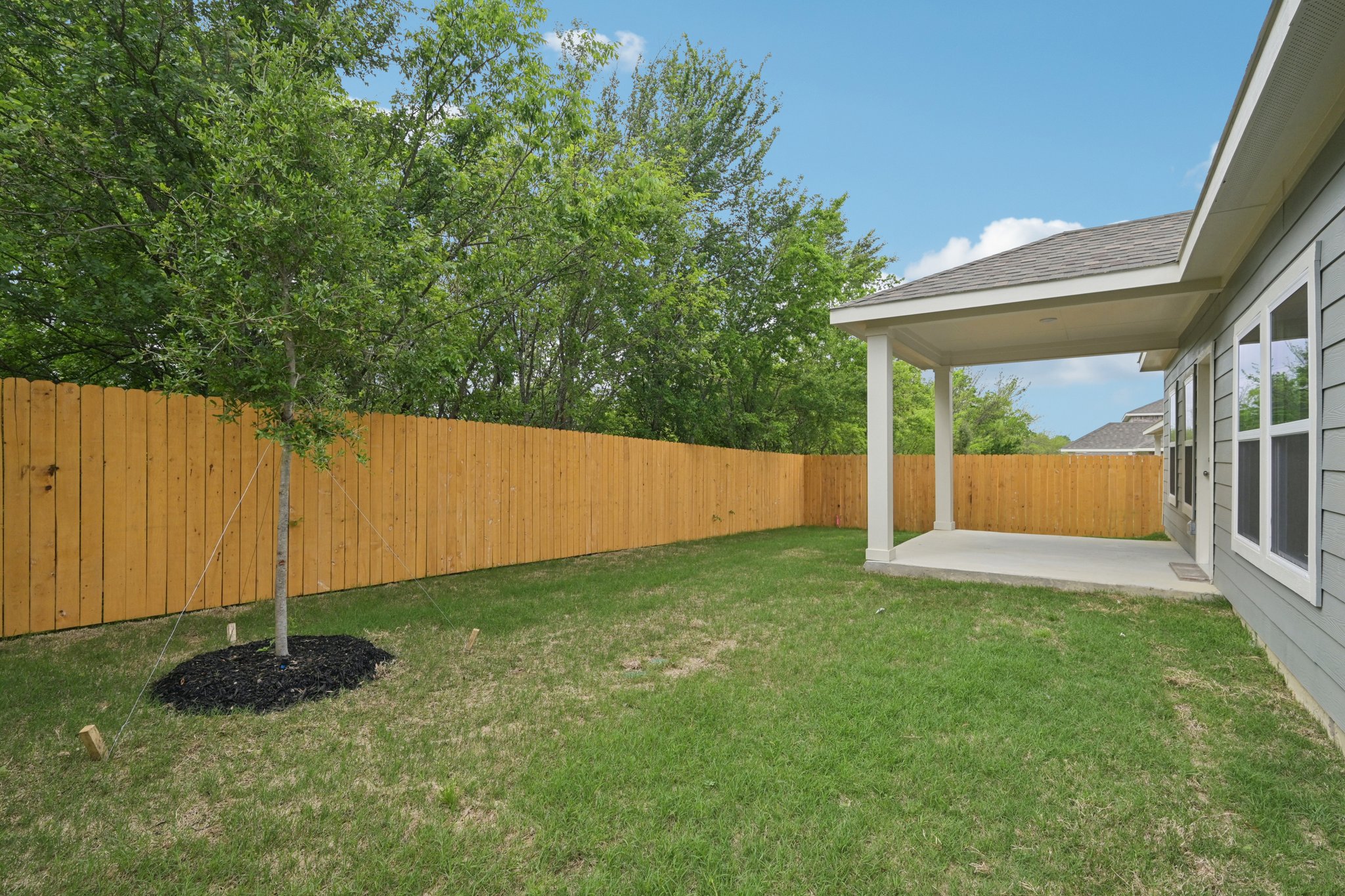 A backyard with a fence and trees.