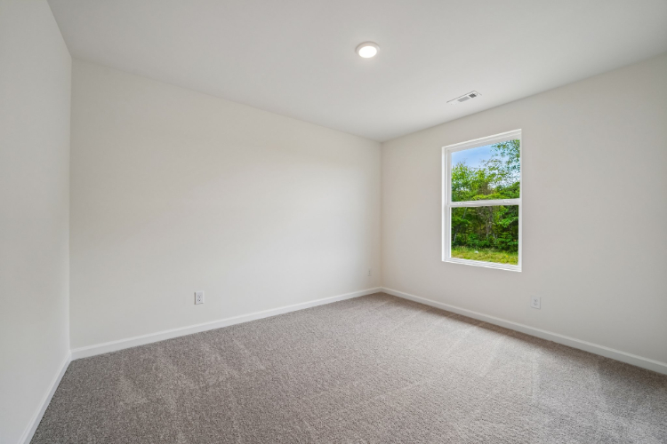 A room with a window and a tree outside.
