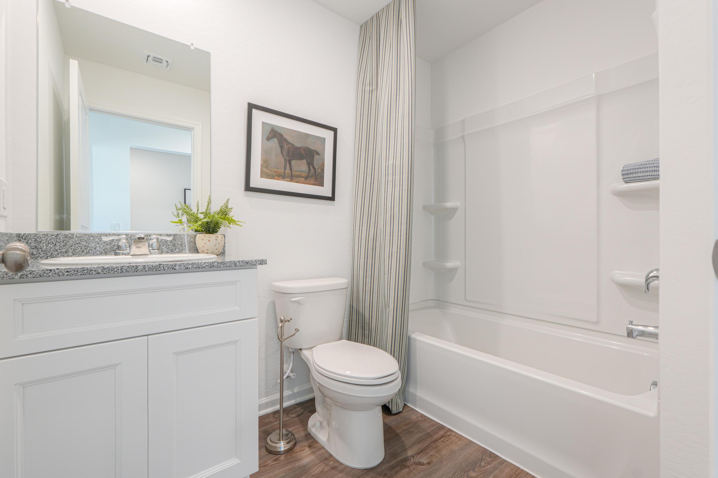 A bathroom with a toilet and bathtub.