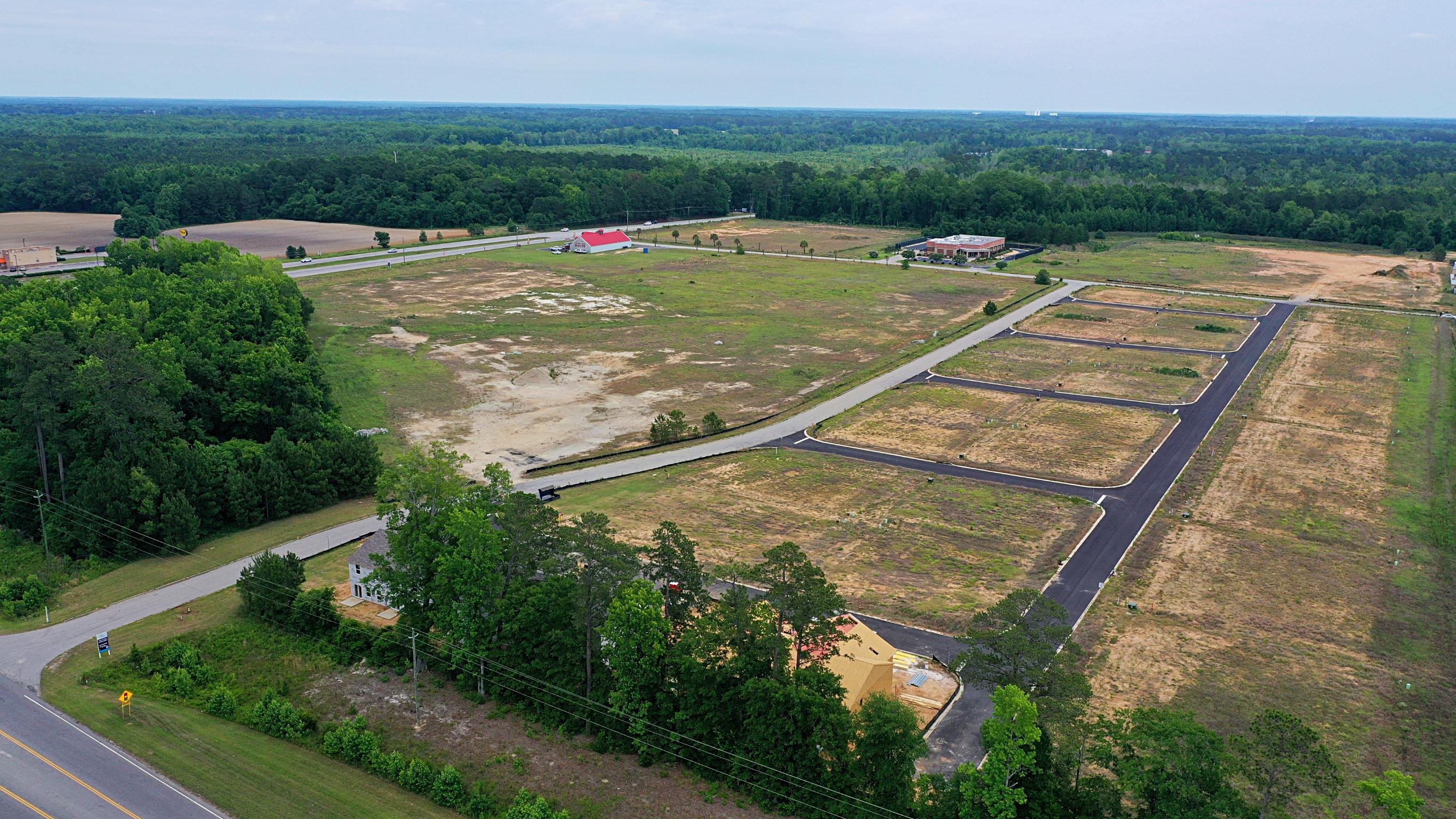 A large field with a road and trees.